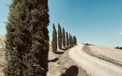 Jaki sens ma ESG skoro nie jest podstawą do porównania