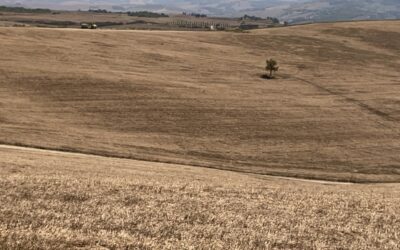 Dlaczego już zaraz nie będziemy mówić “raport niefinansowy” ?