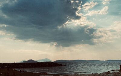 Od sadzenia drzew po strategię dekarbonizacji